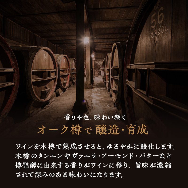 限定 ワイン 椀子ヴィンヤードを味わう定番 セット 2本 椀子メルロー 椀子シャルドネ 750ml メルロー シャルドネ 白ワイン 赤ワイン お酒 酒 アルコール 飲み比べセット ギフト 贈り物 プレ