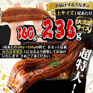 うなぎ 無投薬  鹿児島県産  ＜極上＞ (160g～236g×3尾・きざみ50g×2袋)  うなぎ【西日本養鰻】B44-v02