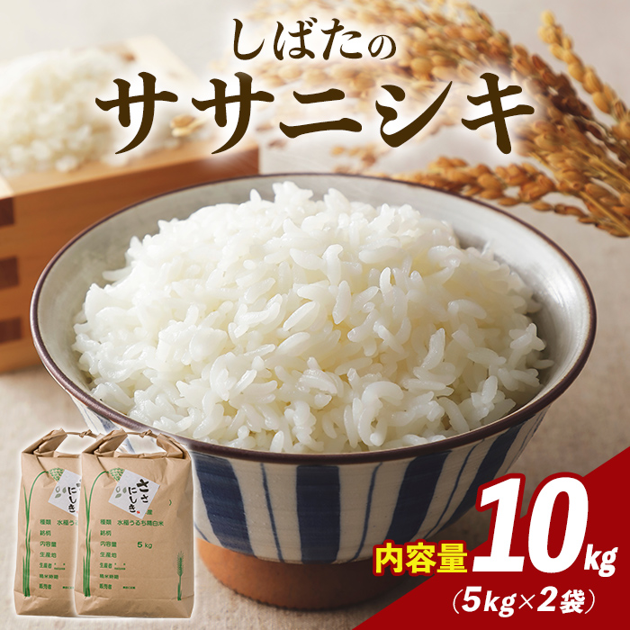 【令和7年産 新米】しばたのササニシキ 精米 10kg 柴田町産 お米 おこめ 米 コメ 白米 ご飯 ごはん おにぎり お弁当 ささにしき【しばたの未来株式会社】sh139