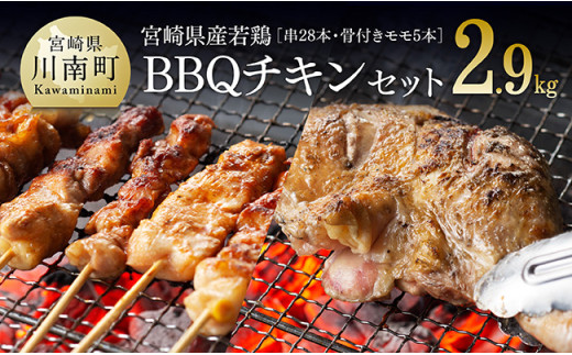 ※令和7年5月発送※ 宮崎県産若鶏　BBQチキンセット（バラエティセット串４P・骨付きモモ５本） 【 肉 鶏 鶏肉 】