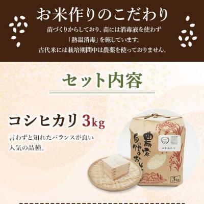 ふるさと納税 西予市 <古代米も入った!やまこのうえんのお米食べ比べセット> お米 コメ ご飯 ライス 穀物 こしひかり |  | 01