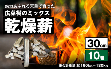 S163-016_魅力あふれる天草で育った広葉樹のミックス乾燥薪（30㎝）