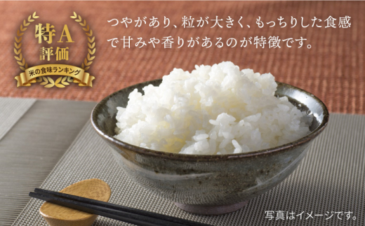 令和6年産 新米 特別栽培米 白石産 さがびより（5kg）【道の駅しろいしカンパニー】 [IAA006]