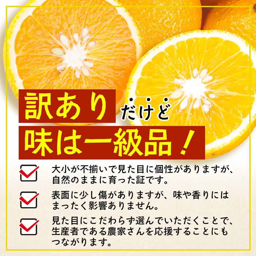 【訳あり】≪先行予約・数量限定≫鹿児島県南大隅産スイートスプリング 約5kg ID-12 ｜訳あり 訳アリ スイートスプリング すいーとすぷりんぐ 柑橘 カンキツ 柑橘類 詰め合わせ 産地直送 おすす