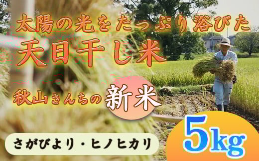 
            【2025年度】秋山さんの新米 さがびより/ヒノヒカリ 5kg 
          