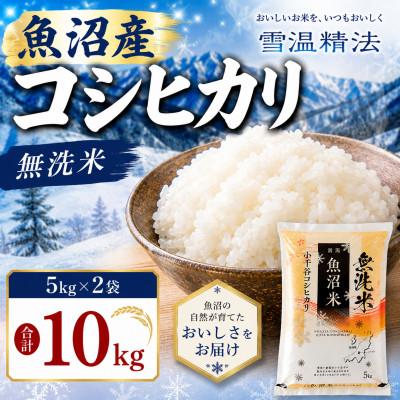 ふるさと納税 小千谷市 雪室貯蔵 魚沼産コシヒカリ 無洗米 5kg×2