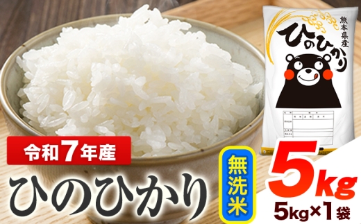 令和7年産 ひのひかり  無洗米 5kg 《1-5日以内に出荷予定(土日祝除く)》 熊本県産 無洗米 精米 ひの 送料無料 熊本県 山江村