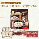 【ふるさと納税】雑穀 おいしく食べる 十六穀ごはん 計1080g (180g×6個) セット 健康 ヘルシー 食物繊維　【鳥栖市】