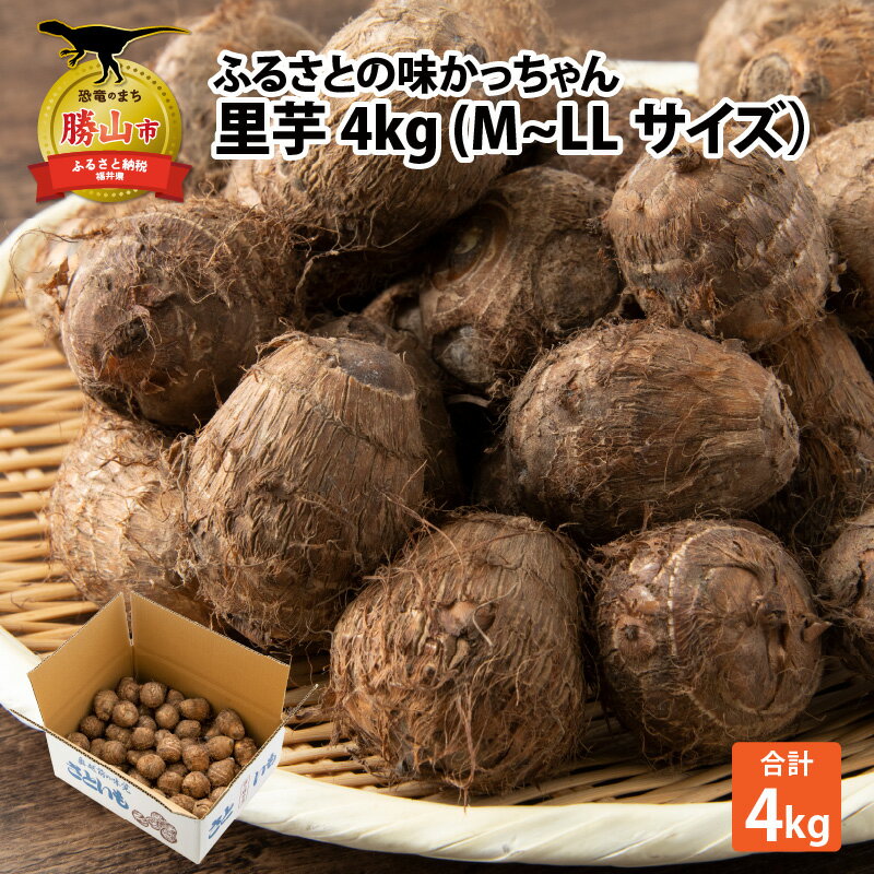 【ふるさと納税】里芋 4kg (M〜LLサイズ)