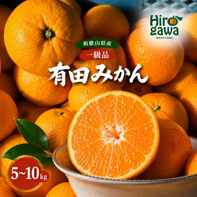 【ふるさと納税】 有田みかん 5kg or 10kg 和歌山 広川町産 ※2026年11月中旬～2027年1月下旬頃に順次発送予定 / 和歌山 有田 広川 みかん ミカン 柑橘 果物 くだもの ギフト フルーツ 果実