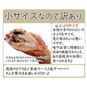 のどぐろ 開き 干し 3尾 生茶漬け 1食 セット 下関 山口  AU410