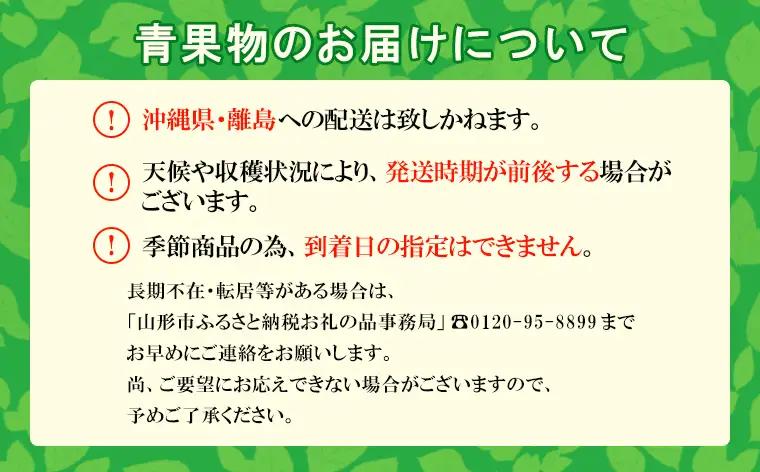 さくらんぼ観光が贈るリンゴ  紅玉 こうぎょく 優 5kg  FY26-040