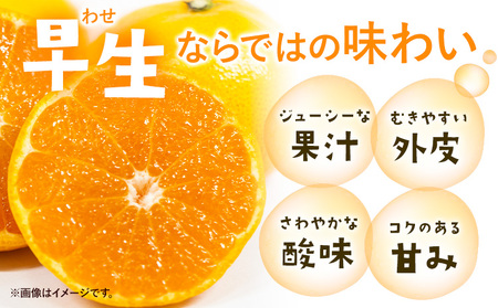 ＜2026年先行予約＞みかん ゆら早生みかん ご家庭用 5kg 