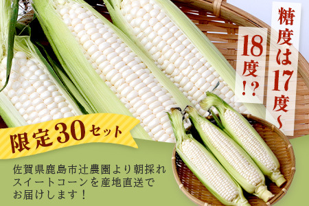 予約受付【限定30セット】ホワイトコーン 10～12本入 とうもろこし トウモロコシ 野菜 B-733 佐賀 鹿島 スイートコーン