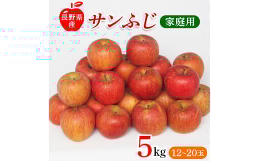 
            長野県産 サンふじ りんご 家庭用 訳あり 5kg(12～20玉)【1360194】
          