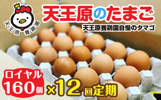 【定期便】12回定期 【天王原のたまご】 ロイヤル卵160個入り【定期便 12回定期便 セット たまご 卵 玉子 タマゴ 濃厚  ハリ 弾力 ボリューム 甘味 旨味 卵黄 風味 生 コク 甘味 卵かけご飯 卵焼き 目玉焼き オムレツ 茶碗蒸し お菓子作り パンの材料】