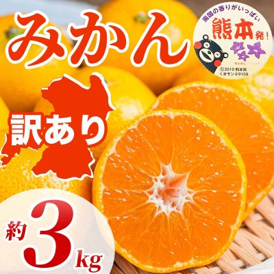 みかん 訳あり 3S～3L 約3kg(宇城市)【1704803】