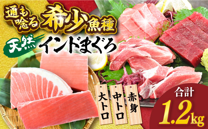 天然 まぐろ 大トロ・中トロ・赤身（約200ｇ×6柵）約1200ｇ【横須賀商工会議所 おもてなしギフト事務局（本まぐろ直売所）】[AKAK021]