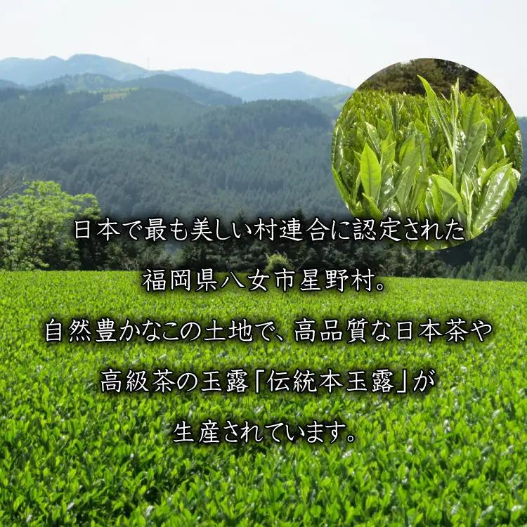 【八女茶】奥八女星野茶 高木茶園の深蒸し高級煎茶(深蒸し茶）100g×1袋 4A13