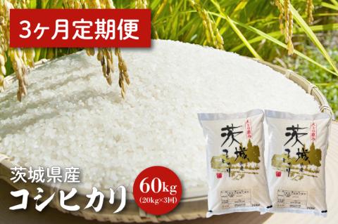 【令和6年産】３ヵ月定期便】茨城県産コシヒカリ 20kg×3 【定期便 お米 ごはん こしひかり 老舗 米屋 おにぎり ごはん 茨城県 水戸市 60キロ】(HQ-56)