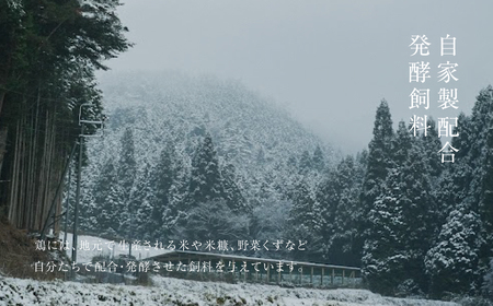 【全6回定期便】平飼い有精卵 30個《西粟倉村》【株式会社点々】t-SS-CnDA