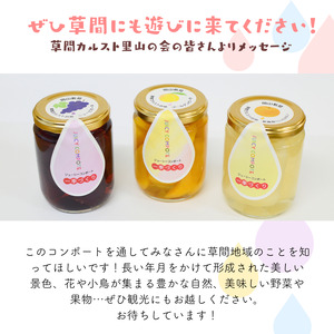 桃とぶどうのコンポート 黄金桃 ニューピオーネ ジューシーコンポート 250g×3個（黄金桃2個・ニューピオーネ1個）
