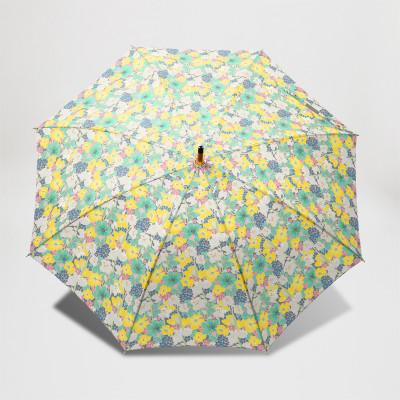 ふるさと納税 東大阪市 EMILY BURNINGHAM 晴雨兼用長傘47cm [フラワー] |  | 02