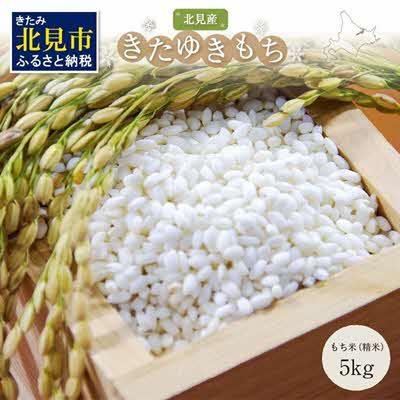 ふるさと納税 北見市 北海道産　きたゆきもち　精白米　5kg