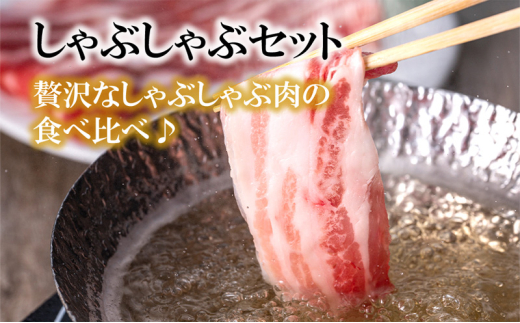 【6ヵ月定期便】湘南豚 ロース・バラしゃぶしゃぶ セット 1kg 6か月 定期便 豚肉 ロース 薄切り バラ しゃぶしゃぶ 冷凍 豚 ぶたにく ぶた肉 Pork 豚肉 ブランド豚 国産 国産豚 神奈川