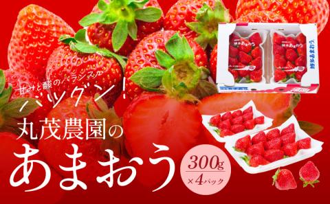丸茂農園の福岡県産あまおう