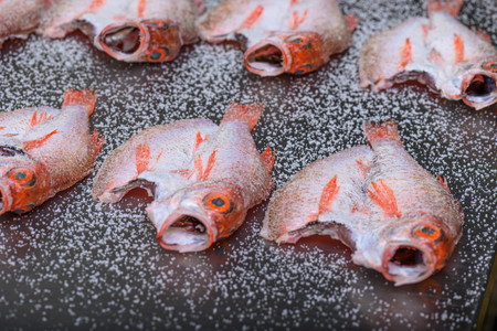 【海鮮の匠　魚政】のどぐろ熟成一汐（ノドグロ、のど黒、アカムツ）400g級使用 仕上がり後 300g以上 3尾セット のどぐろ 干物セット
