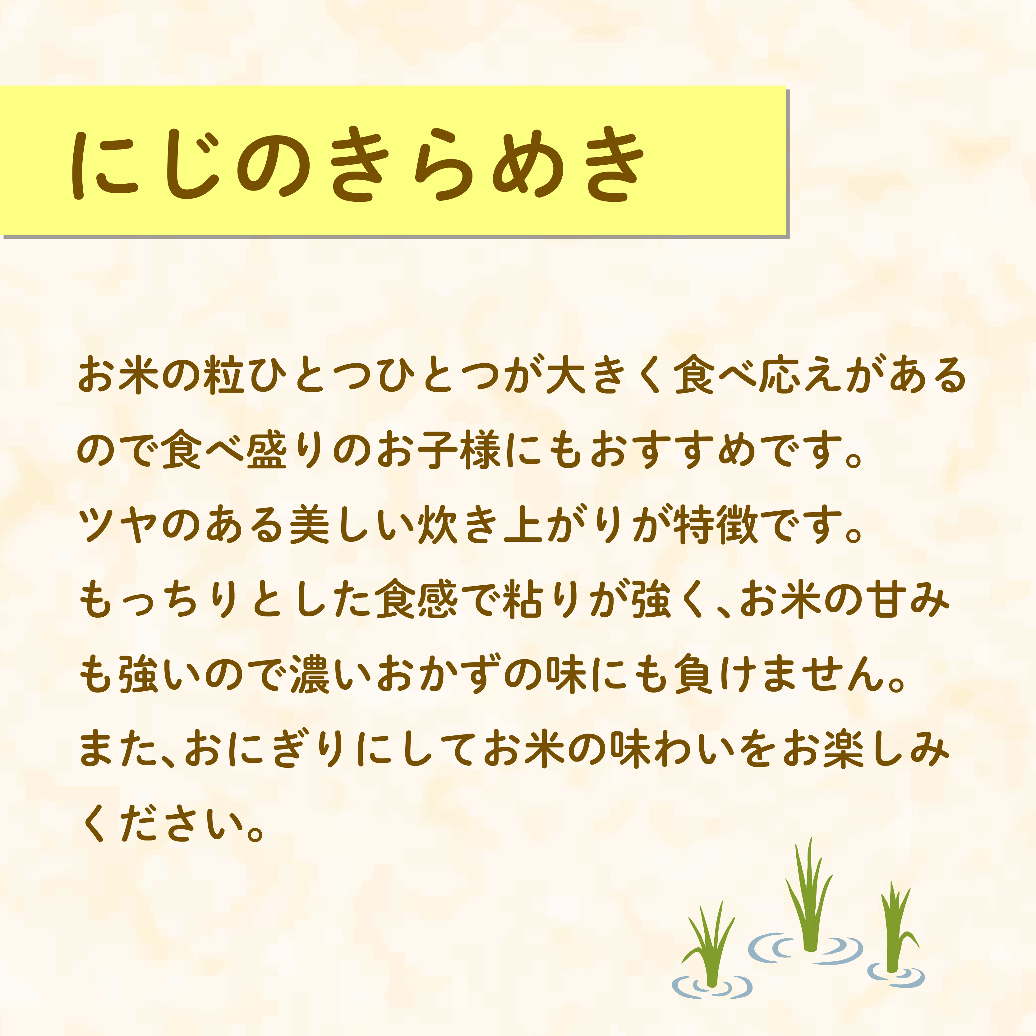 米 にじのきらめき 2kg 農家直送 特別栽培米 精米 令和7年度産 お米 新生活 贈り物 人気米 ご飯 白米 コメ 贈答 静岡県 藤枝市