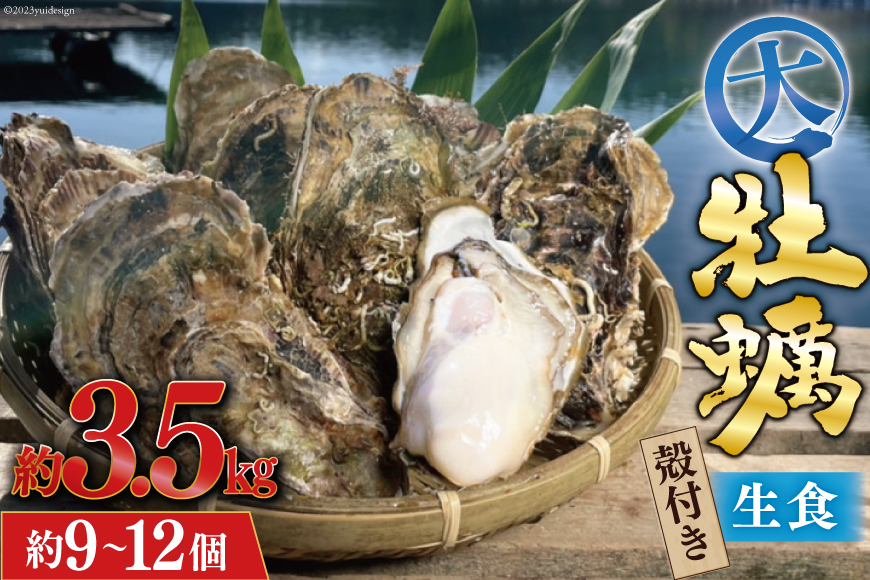 【期間限定発送】 TVで紹介！ 牡蠣 大粒 3～4年モノ 生食 殻付き牡蠣 約3kg(約9-12個入)  期間限定 冷蔵 新鮮 濃厚 真牡蠣 カキ かき 生牡蠣 魚貝類 生牡蠣 貝 海鮮 魚介類 なべ カキフライ 牡蠣ご飯 魚介 [住喜水産 宮城県 気仙沼市 20564160_CF02] 期間限定 冷蔵 新鮮 濃厚 真牡蠣 カキ かき 生牡蠣 魚貝類 生牡蠣 貝 海鮮 魚介類 なべ カキフライ 牡蠣ご飯 魚介