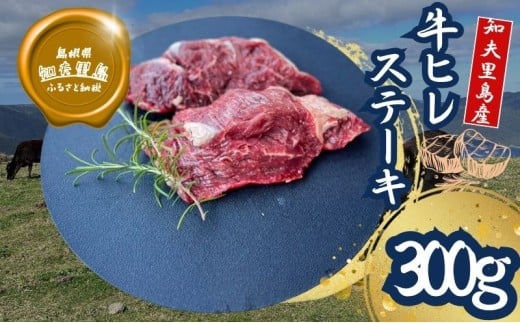 【TBS 「熱狂マニアさん！」で紹介】 経産牛ヒレステーキ300g 国産 牛肉 赤身 放牧 牛ヒレステーキ用 肉 冷凍 ステーキ おうち時間