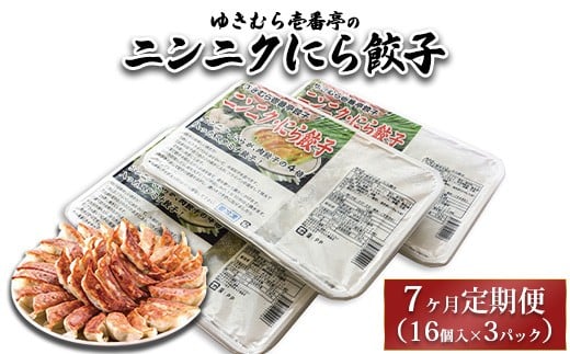 
            【7ヶ月定期便】ゆきむら壱番亭のニンニクにら餃子3パック(48個入り) ※離島への配送不可
          