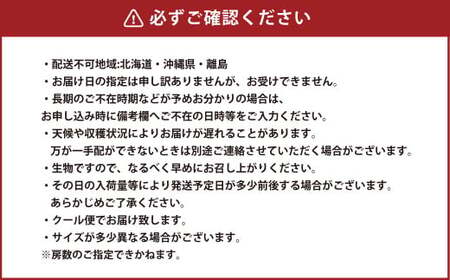 岡山県産 ブラックビート 約2kg（3房～6房）【2026年8月上旬～9月上旬発送予定】 ぶどう ブドウ 葡萄