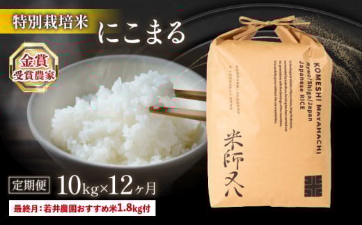 令和6年産 新米 定期便 にこまる 10kg × 12ヶ月 若井農園 おすすめ米 1.8kg付 十六代目米師又八 謹製 ( 2024年産 ブランド 米 rice 精米 白米 ご飯 内祝い 十六代目米師又八 謹製 もちもち 国産 送料無料 滋賀県 竜王 ふるさと納税 )