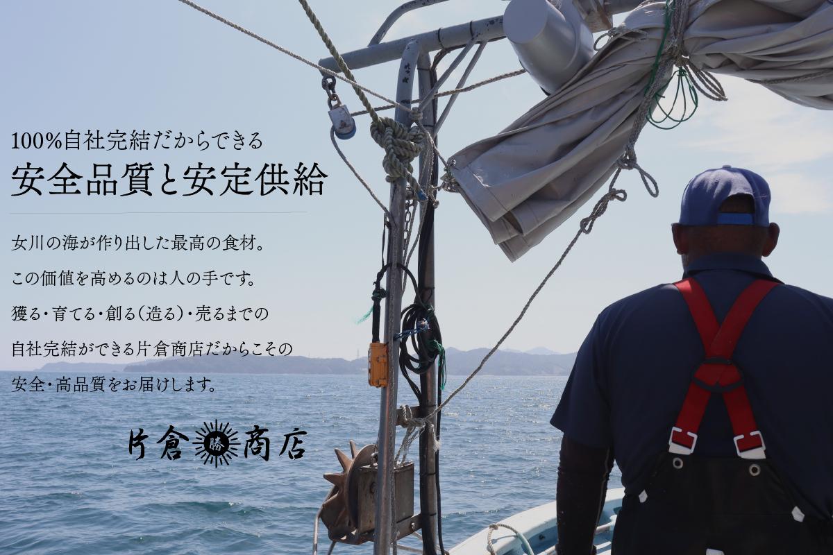 殻付き牡蠣 生食可 10kg かき 牡蠣 カキ オイスター 生食用牡蠣 生牡蠣 冷凍牡蠣 冷凍カキ 冷凍かき 殻付牡蠣 殻付きカキ 殻付きかき 殻付き 牡蠣貝 海産物 海鮮 水産物 焼き牡蠣 蒸し牡蠣