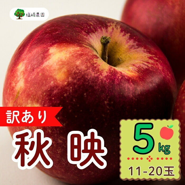 【ふるさと納税】＜先行予約＞【訳あり】規格外 秋映（あきばえ）【約5kg(11〜20玉)】 ＜出荷開始：2025年10月上旬頃～10月中旬頃＞(7-A26-2)【 りんご フルーツ 長野県 飯山市 ギフト 規格外 プレゼント 記念日 誕生日 父の日 母の日 敬老の日 記念品 あきばえ 】