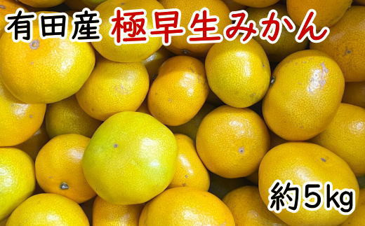 有田産極早生みかん約5kg（サイズ混合）【tec929A】