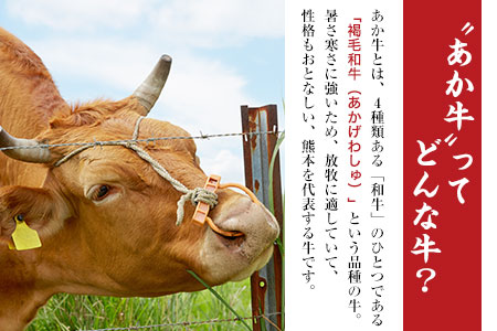 6ヶ月定期便 肥後のあか牛（熊本県産）焼肉用500g (計6回お届け×500g 合計3kg) 南阿蘇食品《お申込み月の翌月から出荷開始》 熊本県 南阿蘇村---sms_fasakyktei_23_87000_mo6num1---