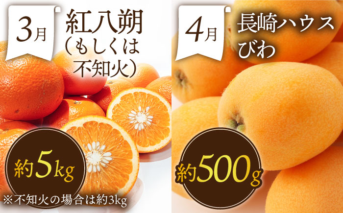 【12回コース】果物屋が選ぶ旬のフルーツ定期便 いちご メロン びわ みかん 梨 柿 など フルーツ定期便 / 南島原市 / 贅沢宝庫 [SDZ023]