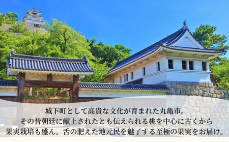 【百果繚乱】【定期便 12ヶ月】 果物定期便 果物定期便 フルーツ