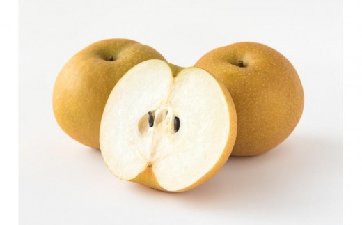 梨 2026年 岡山県産 あたご梨 約900g ( 1玉 ) お届け 11月下旬～12月中旬