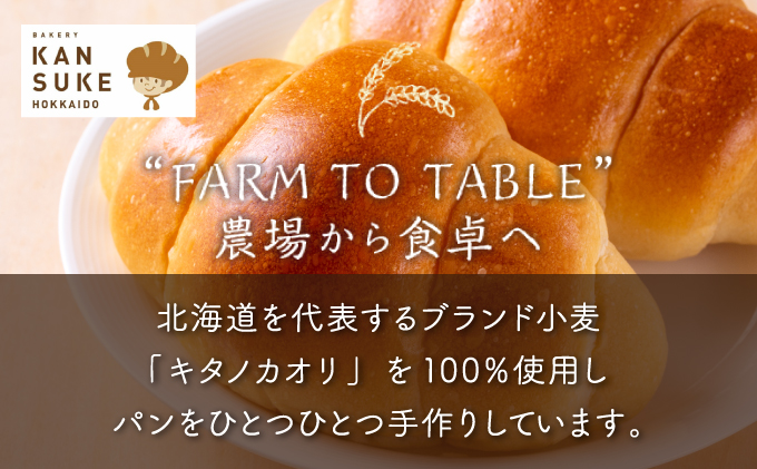 パン 詰め合わせ おまかせ 10個 セット＋北海道産小麦100％高級ミニ食パン『ノースブレッド』【19113】