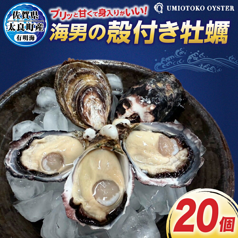 【ふるさと納税】海男の殻付き牡蠣　20個