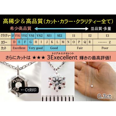 ふるさと納税 南アルプス市 【GIA】鑑定ダイヤ使用Pt900 0.3ctダイヤモンドペンダント Dカラー/VVS1/3Exce |  | 01