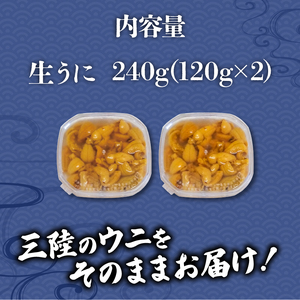 生うに 240g (120g×2) 冷蔵 ミョウバン不使用 生ウニ 雲丹 キタムラサキウニ ウニ丼 うに ウニ Sea urchin 新鮮 直送 産地直送 生食 生 ごはん 夕飯 おかず おつまみ 晩