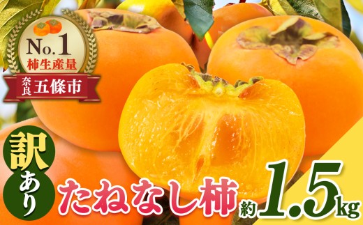 たねなし柿 わけあり！約1.5㎏ | たねなし 柿 かき フルーツ 果物 おすすめ カキ 秋の味覚 旬 甘い 大容量 農家直送 産地直送 グルメ 食物繊維 豊富 美容 健康 家庭用 西吉野 奈良県 五條市