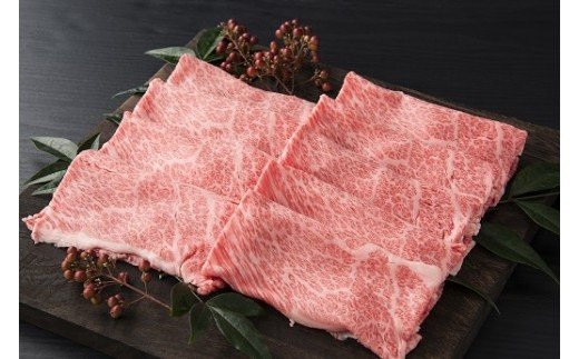 伊万里牛 食べつくし 定期便  6回便 モモスライス入り ヒレステーキ 100万円コース J254_イメージ5